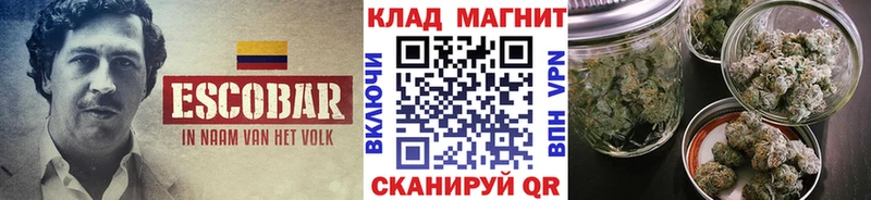 Где купить наркотики Кыштым Марихуана  MEGA ссылки  MDMA  ГАШ  Меф мяу мяу 