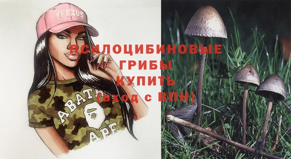а пвп мука Краснослободск