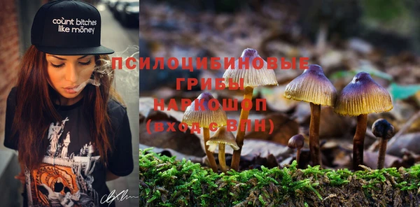 2c-b Кукмор