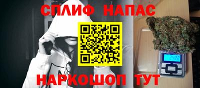 прущие грибы Ипатово