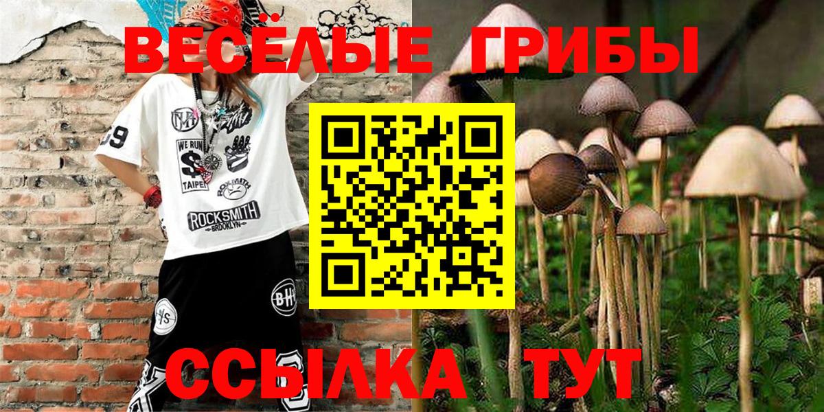 Галлюциногенные грибы Psilocybe Кыштым